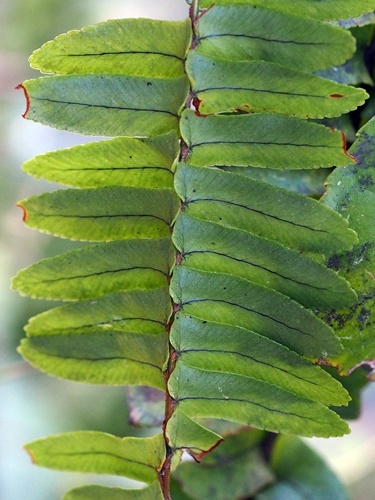 170313139tamasida.jpg