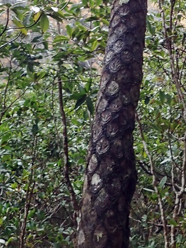 170314038maruhatis.jpg