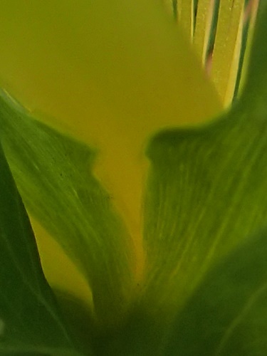 170719034meisenn.jpg