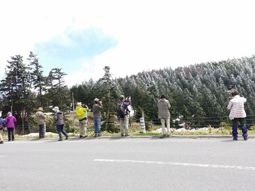 20170604_125001muhyo.jpg