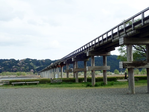 180331107horaibasi.jpg