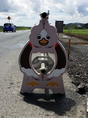 180504006.jpg