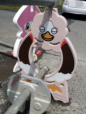 180504007.jpg