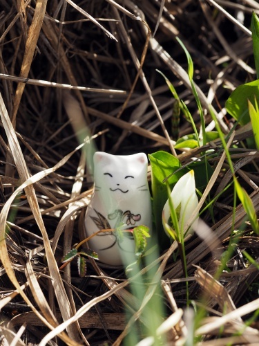 180525036mizubasyo.jpg