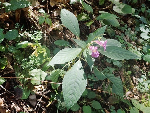 190919052.jpg
