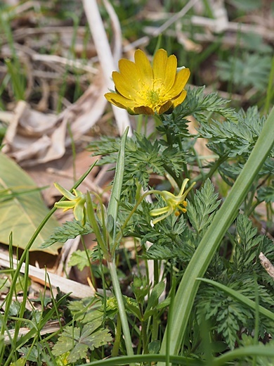 200321047hukujuso.jpg