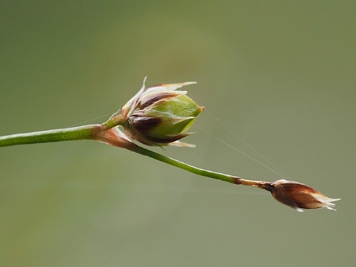 200421016.jpg