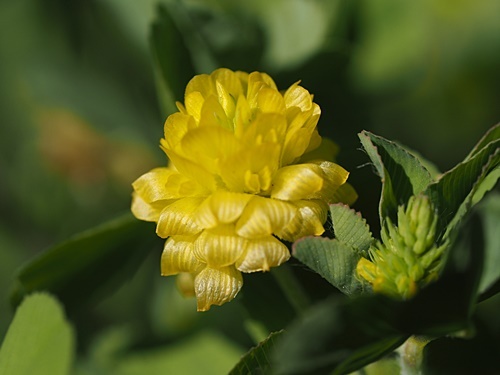 200514058.jpg