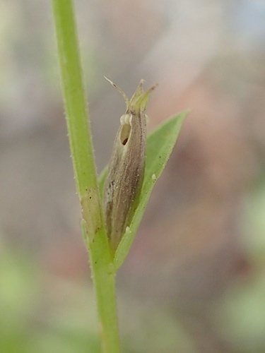 200604014.jpg