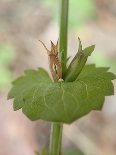 200604057.jpg