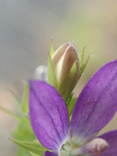 200604061.jpg