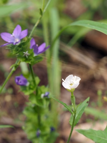 200605065.jpg
