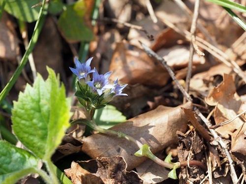 210410081huderindou.jpg