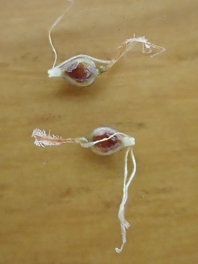 210716111.jpg