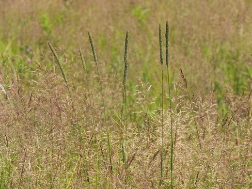 210719010ooawagaeri.jpg