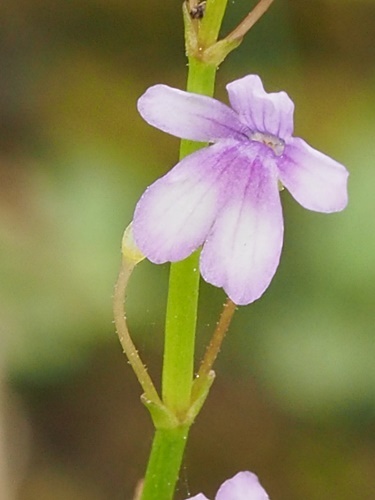 210930092s.jpg