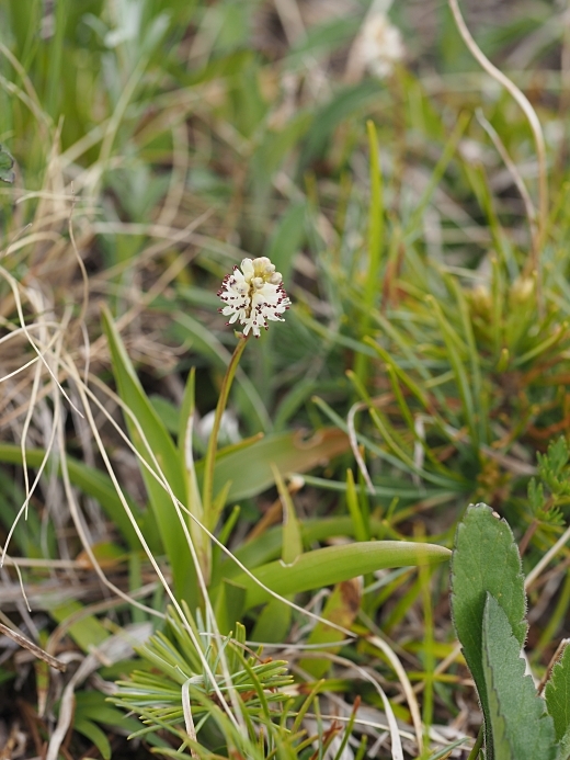 220619111tyabozekisyo.jpg