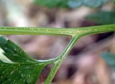 250421011sida.jpg