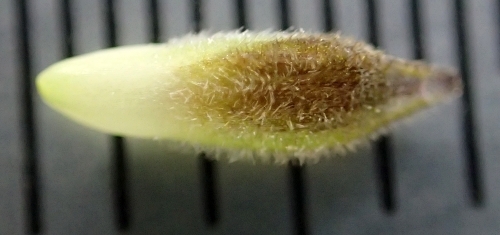 250505071s.jpg