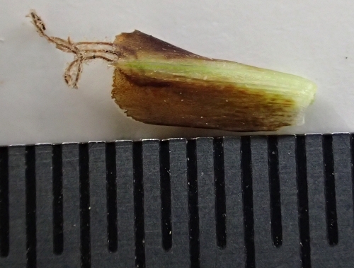 250505077s.jpg