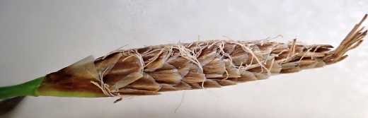 250505091s.jpg