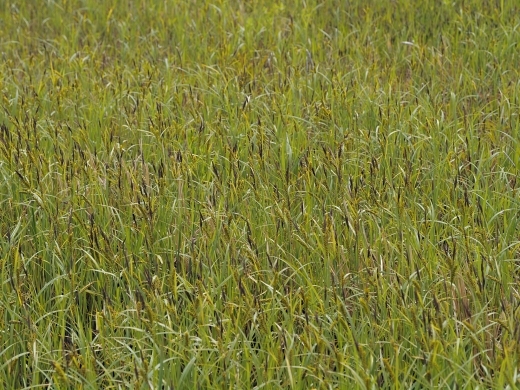 250509115ookugu.jpg