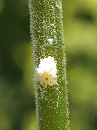 250622028-700.jpg
