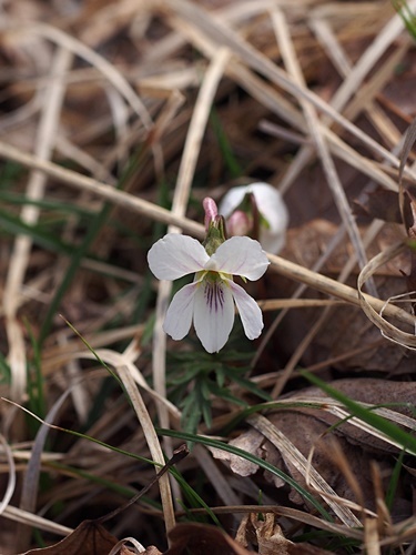 �q�S�X�~��