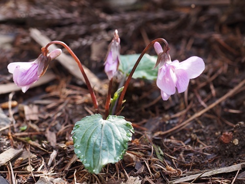 �q�g�c�o�G�]�X�~��