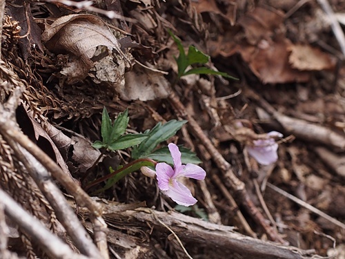 �q�g�c�o�G�]�X�~��