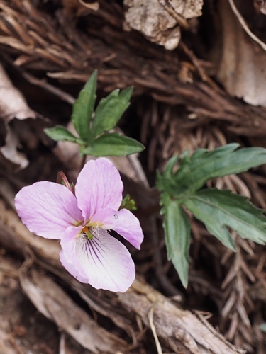 �q�g�c�o�G�]�X�~��