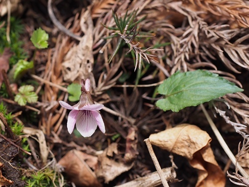 �q�g�c�o�G�]�X�~��