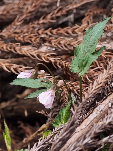 �q�g�c�o�G�]�X�~��