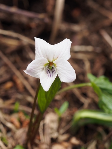 �q�g�c�o�G�]�X�~��