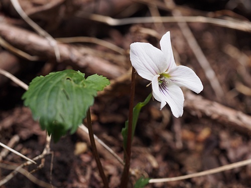 �q�g�c�o�G�]�X�~��