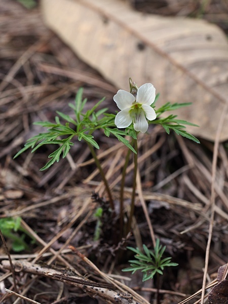 �q�S�X�~��