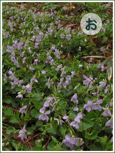 12ti050507018ootatitubo.jpg