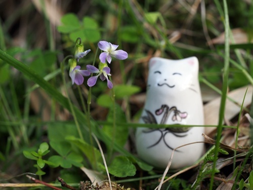 160414147boru.jpg