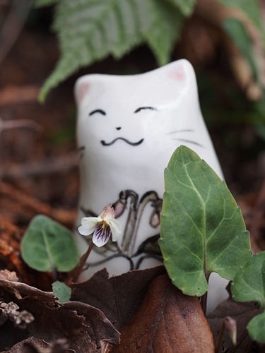 160425016tiisai-boru.jpg