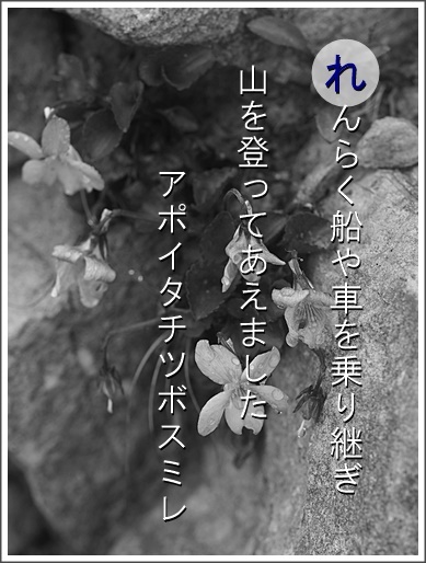 17re150531116apoi2.jpg