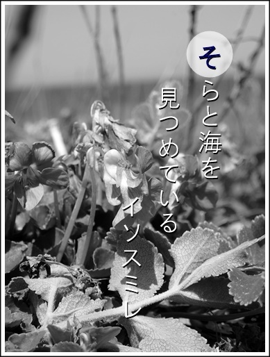 18so160420021iso2.jpg