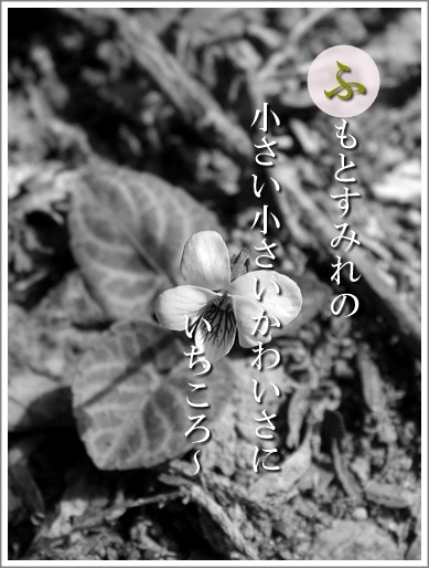 32hu060418057humoto2.jpg