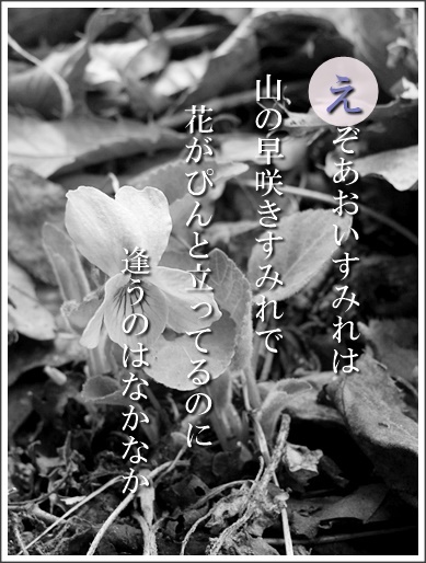 34e120416078ezo2.jpg