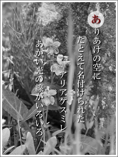 37a140502025ariake2.jpg