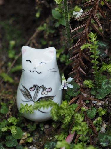 170519162boru.jpg