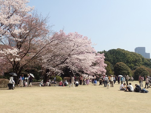 180329015.jpg