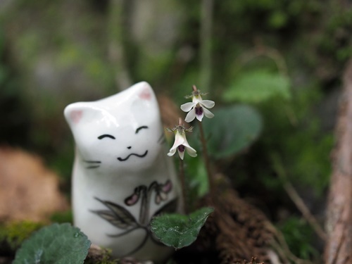 180423056ro-boru.jpg