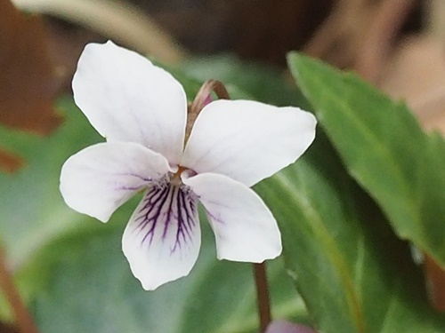 180428191s.jpg