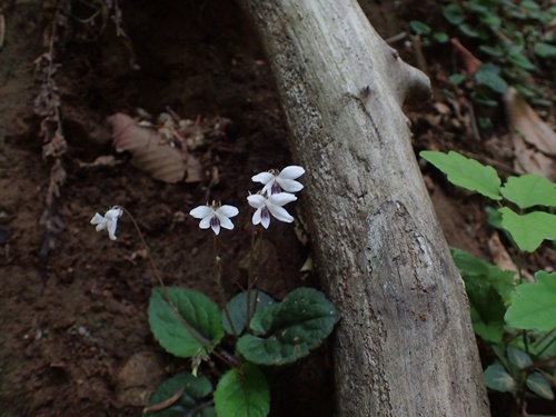 180429027ki.jpg