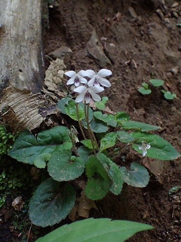 180429029.jpg